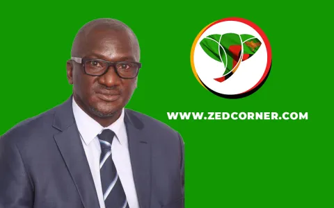 Collins Nzovu
