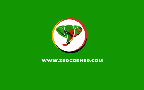 zedcorner.com