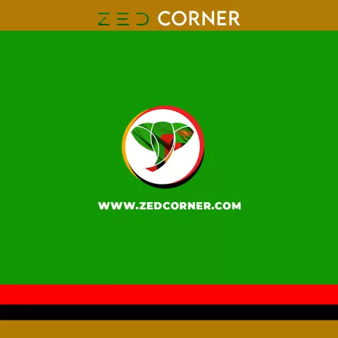 zedcorner.com
